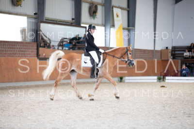 0002-250607-165255-DressurreiterWB