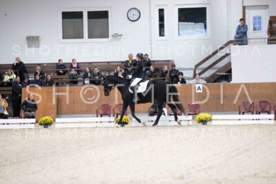 0003-154135-Dressurreiter-Herbst25