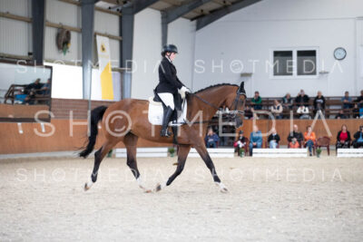 0003-250607-165258-DressurreiterWB