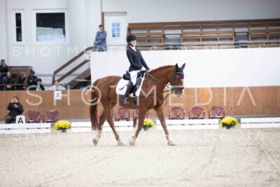 0007-154147-Dressurreiter-Herbst25
