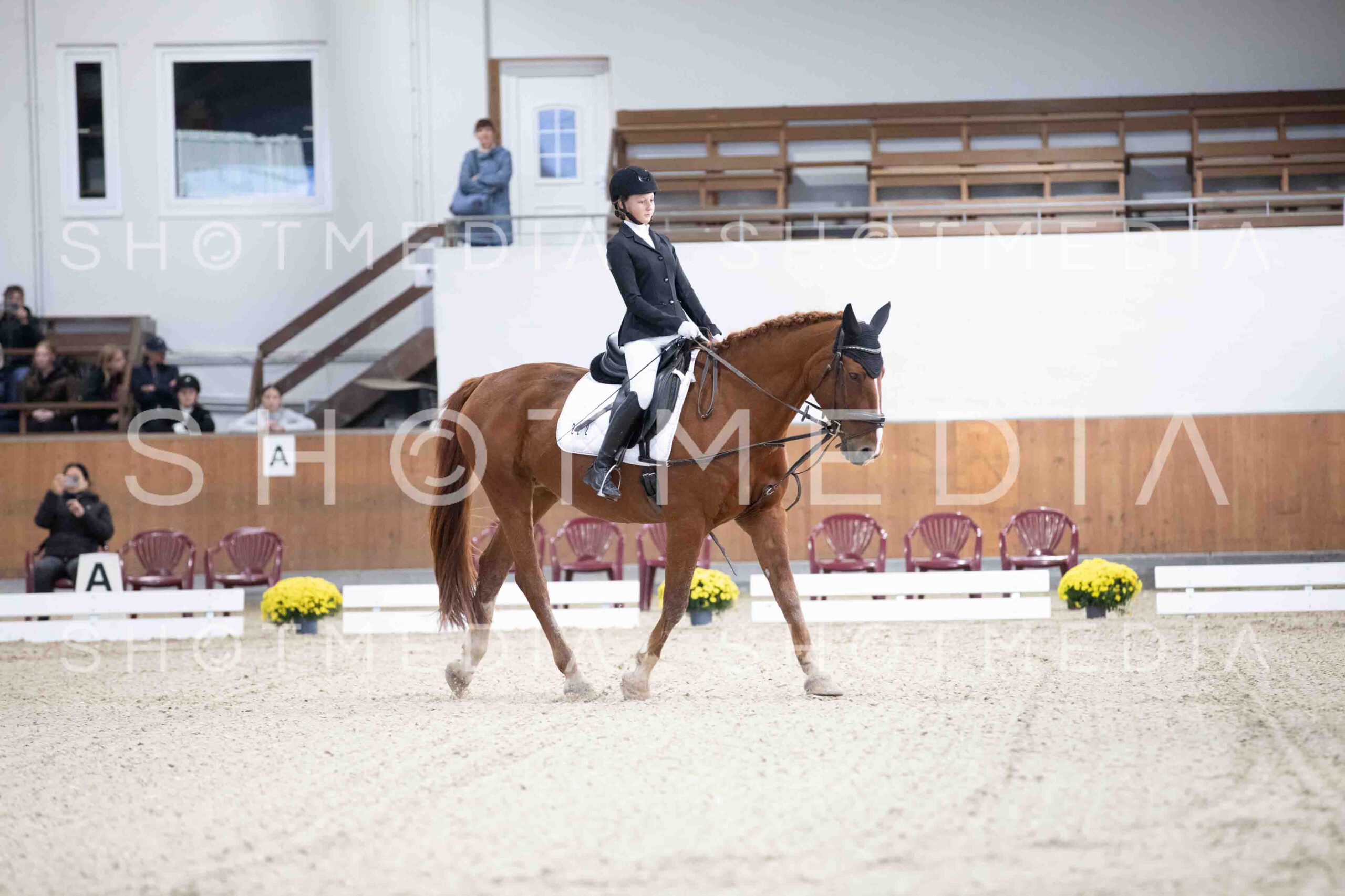 0007-154147-Dressurreiter-Herbst25