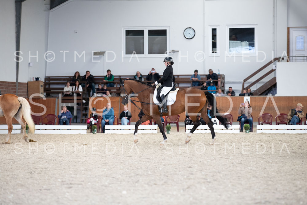 0007-250607-165306-DressurreiterWB