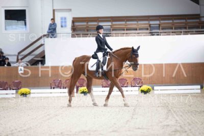 0008-154147-Dressurreiter-Herbst25