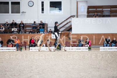 0010-250607-165312-DressurreiterWB