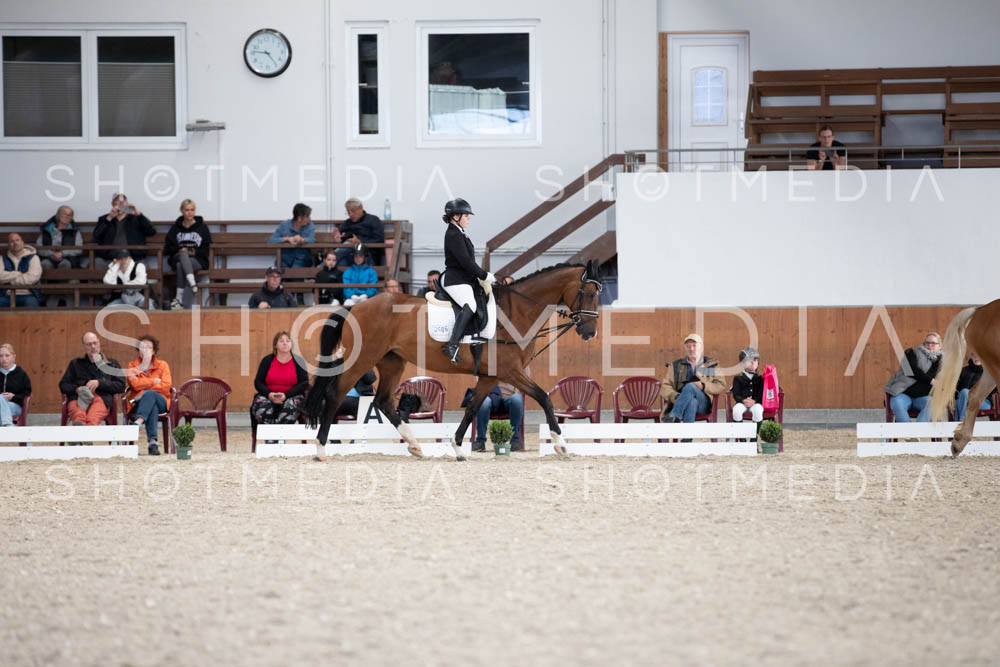 0011-250607-165314-DressurreiterWB