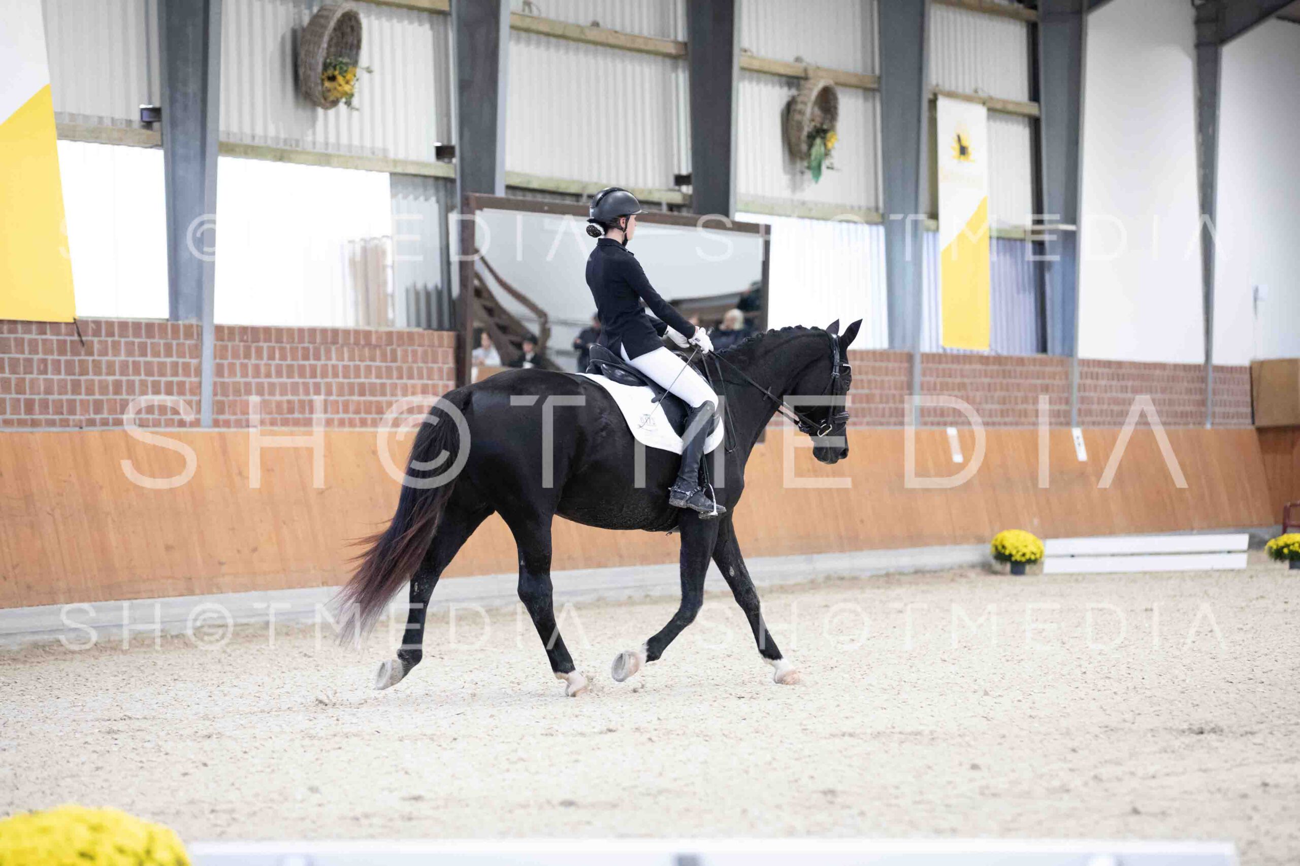 0012-154248-Dressurreiter-Herbst25