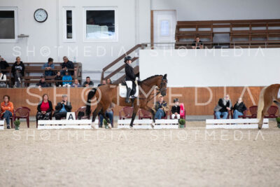 0012-250607-165315-DressurreiterWB