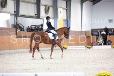 0013-154251-Dressurreiter-Herbst25