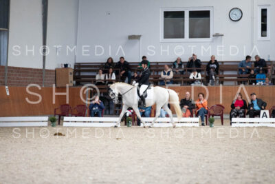 0018-250607-165356-DressurreiterWB