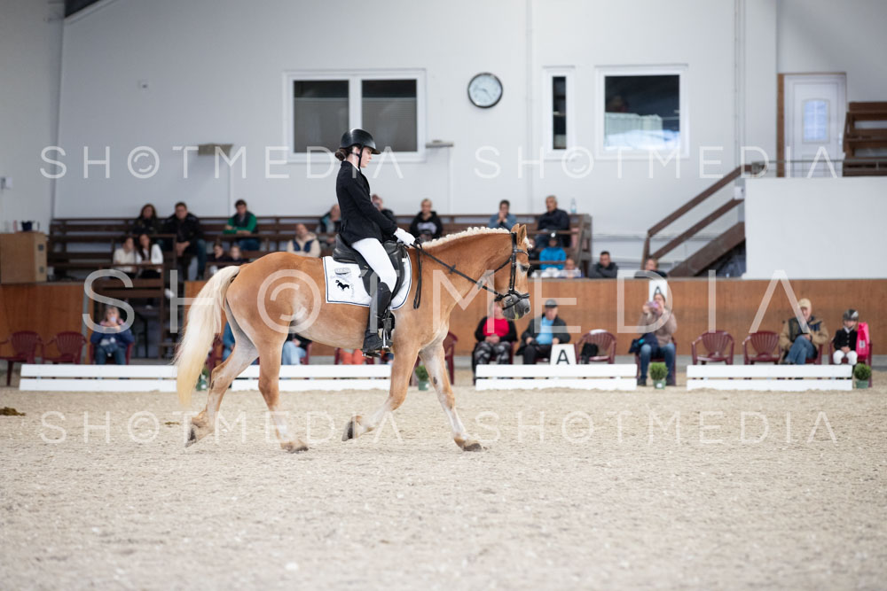 0019-250607-165402-DressurreiterWB