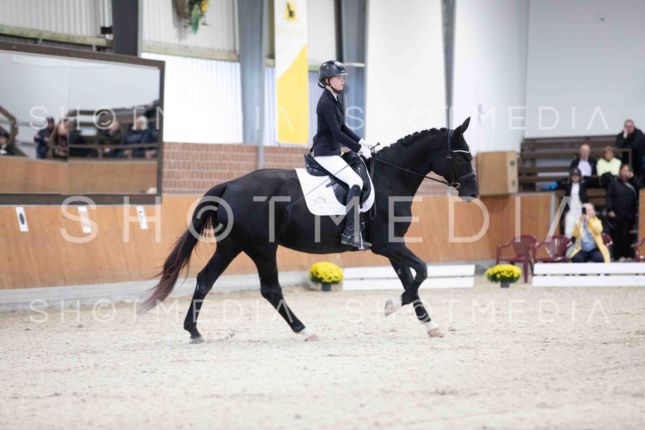 0023-154526-Dressurreiter-Herbst25