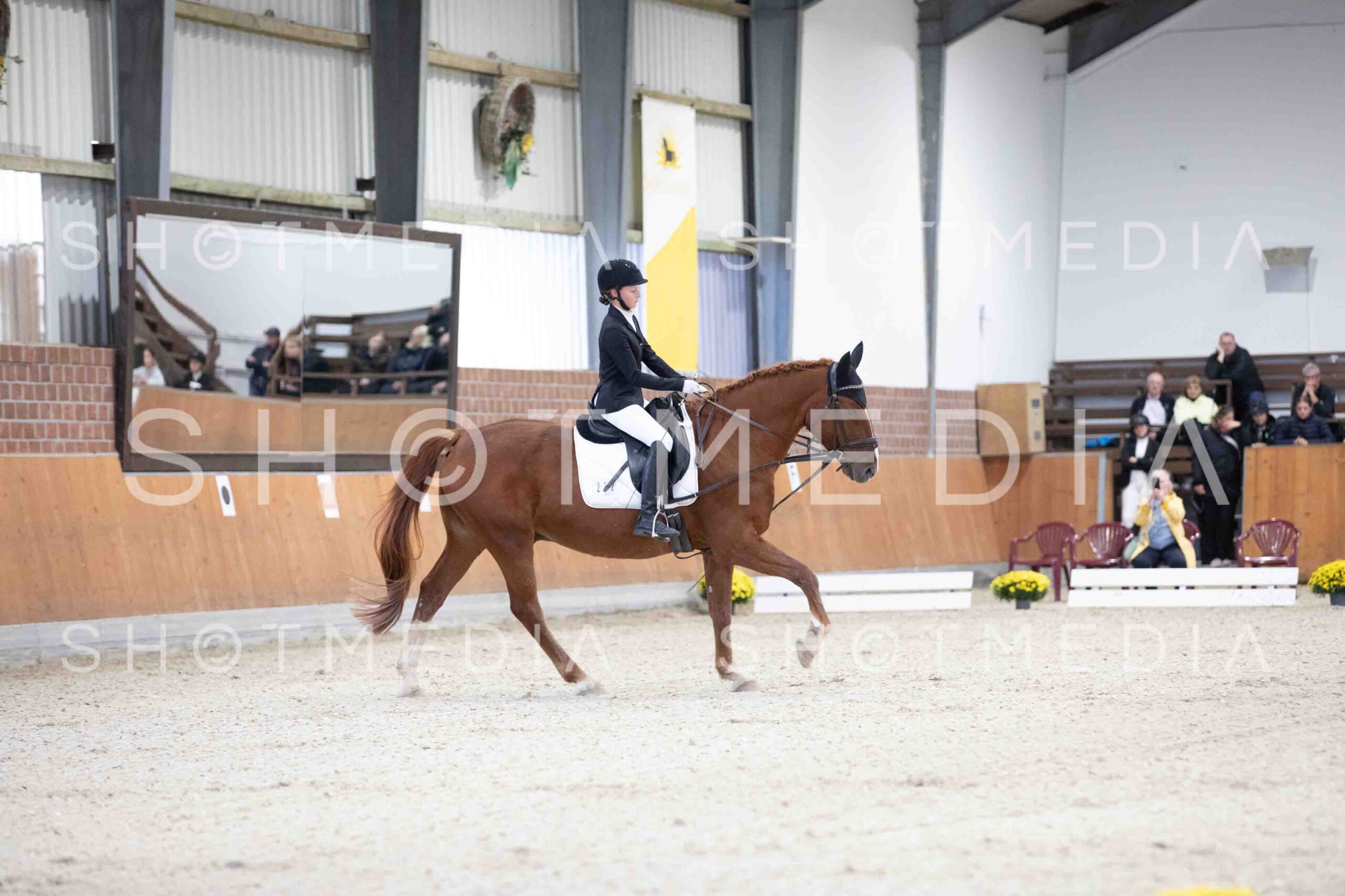 0025-154530-Dressurreiter-Herbst25