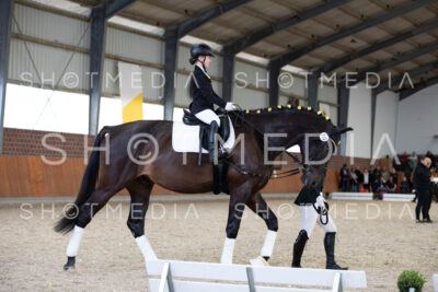 0025-250607-153515-Fuehrzuegel