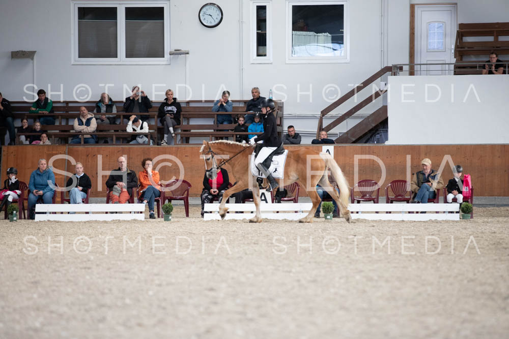 0025-250607-165430-DressurreiterWB