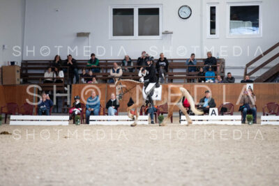 0026-250607-165431-DressurreiterWB