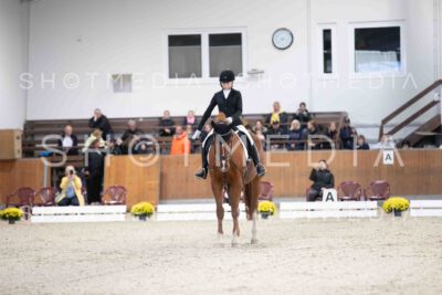 0027-154618-Dressurreiter-Herbst25