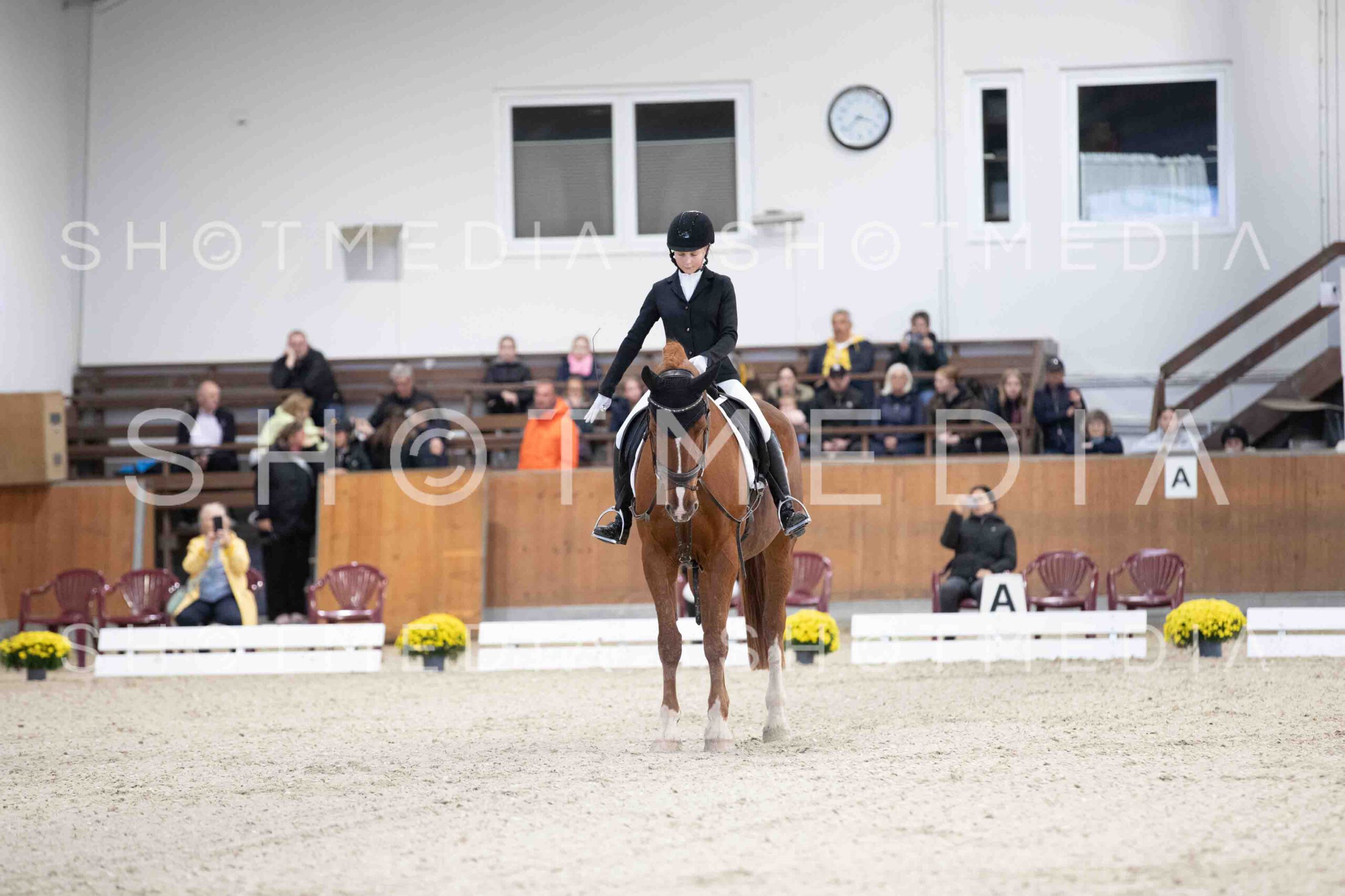 0027-154618-Dressurreiter-Herbst25