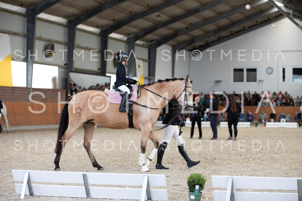 0027-250607-153558-Fuehrzuegel