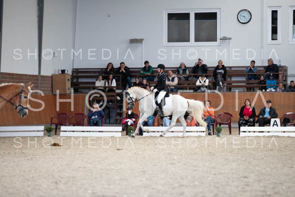 0028-250607-165436-DressurreiterWB