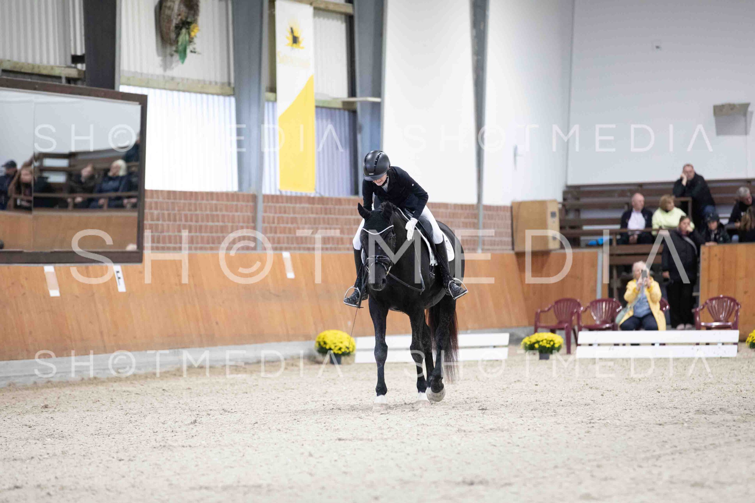 0029-154621-Dressurreiter-Herbst25