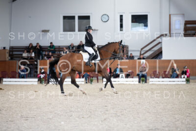 0029-250607-165440-DressurreiterWB