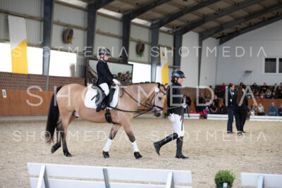 0030-250607-153612-Fuehrzuegel