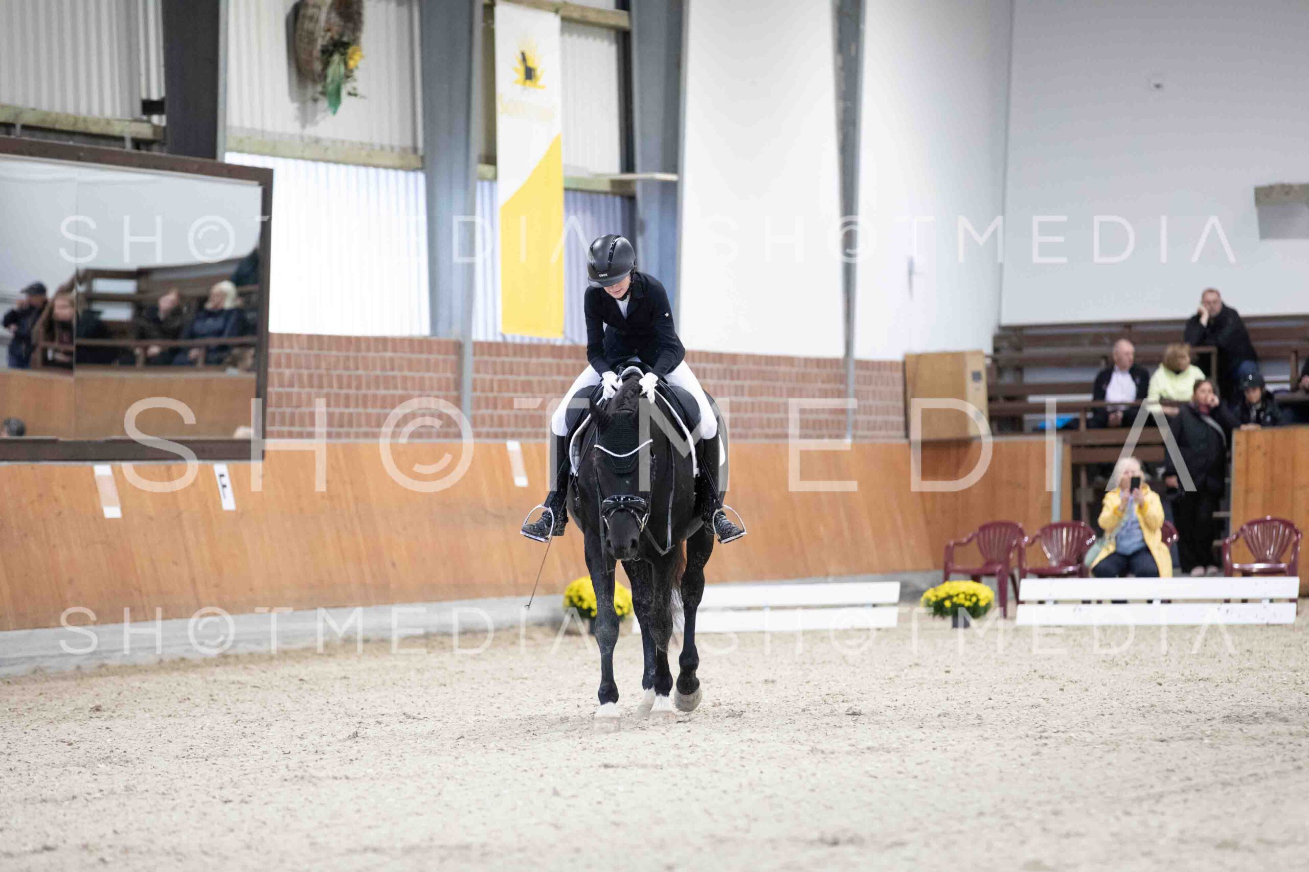 0032-154623-Dressurreiter-Herbst25