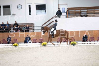 0033-114738-KlasseLTrense-Herbst25