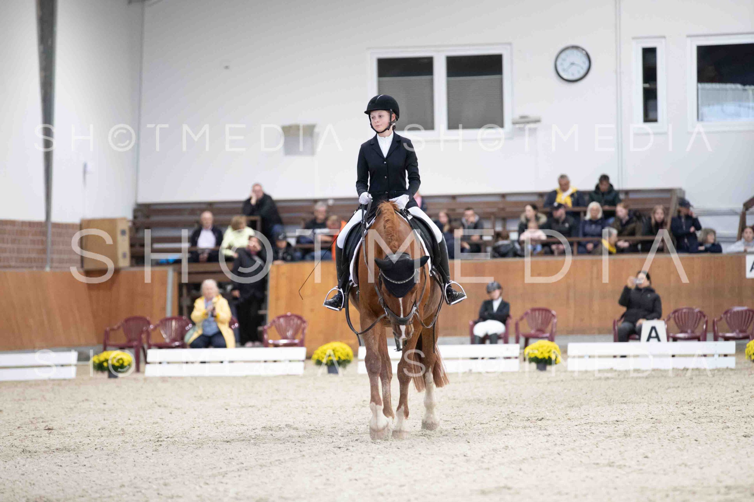 0034-154625-Dressurreiter-Herbst25