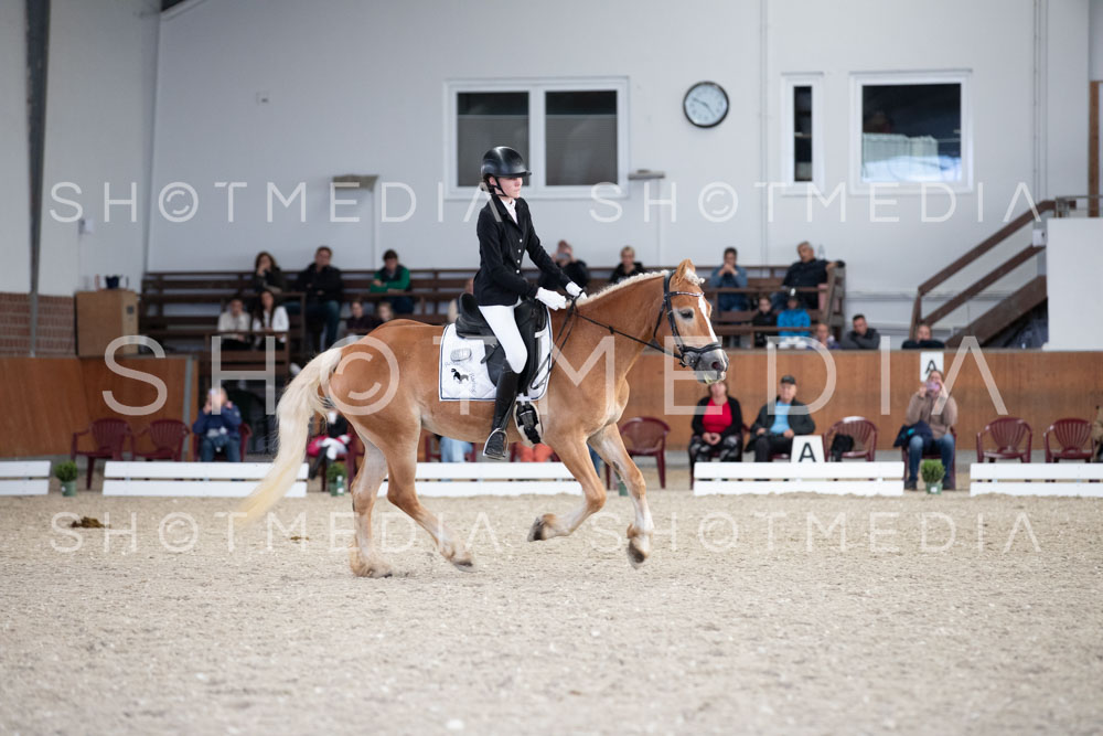 0034-250607-165627-DressurreiterWB