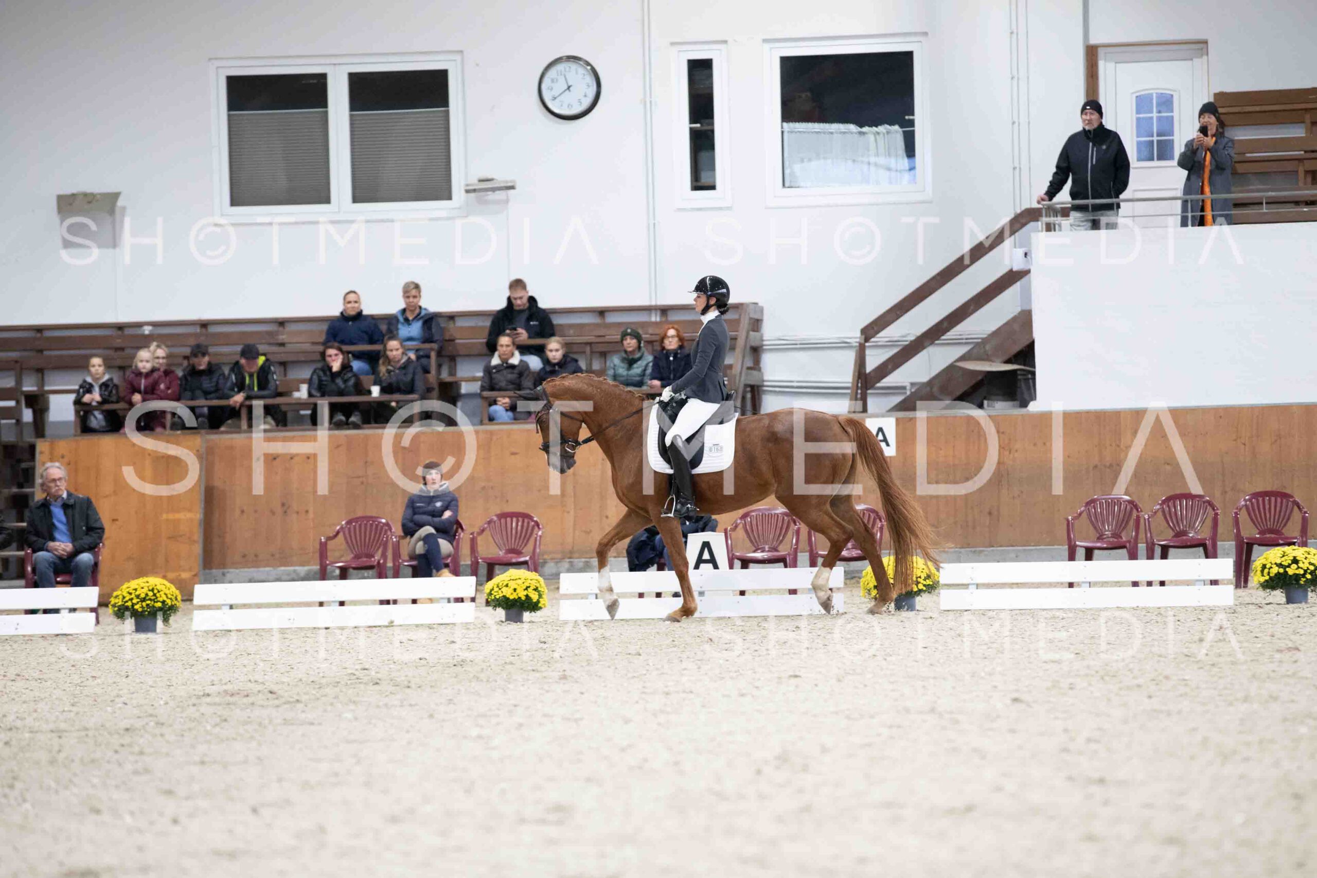 0035-114739-KlasseLTrense-Herbst25