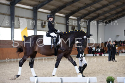 0035-250607-153631-Fuehrzuegel