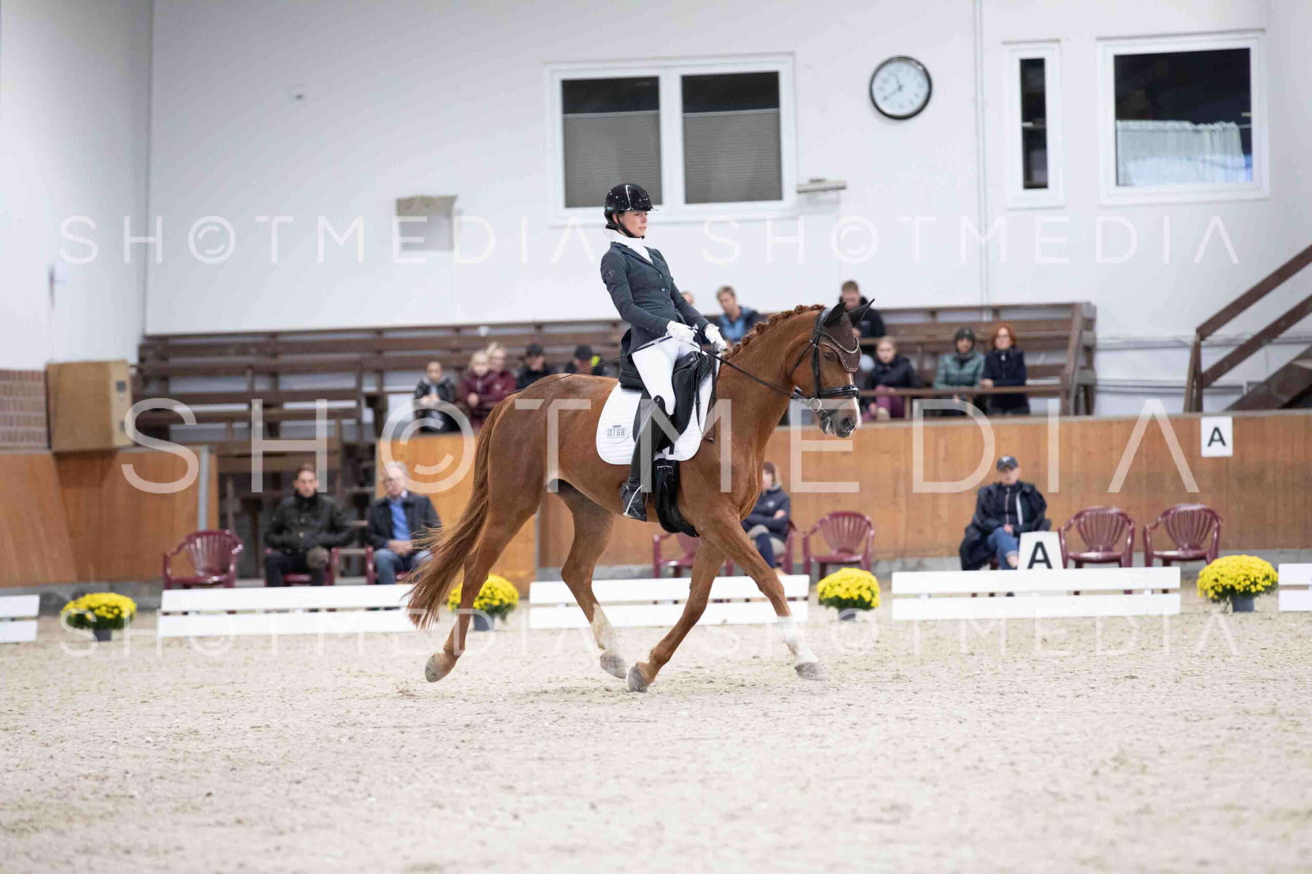 0037-114746-KlasseLTrense-Herbst25