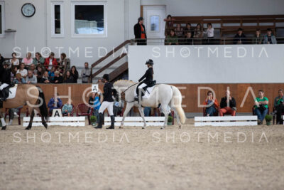 0037-250607-153649-Fuehrzuegel