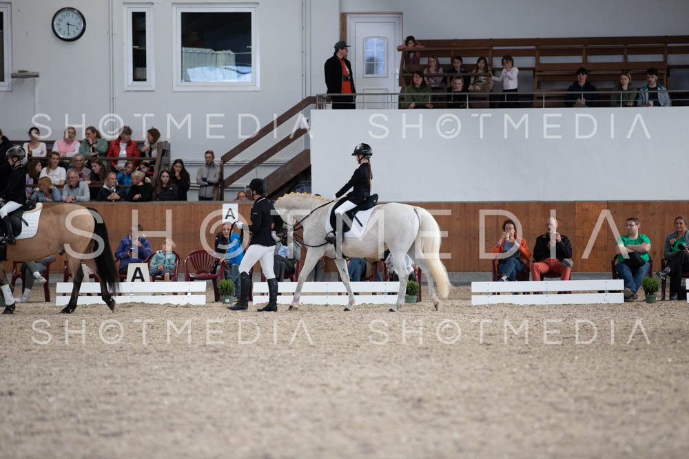 0037-250607-153649-Fuehrzuegel