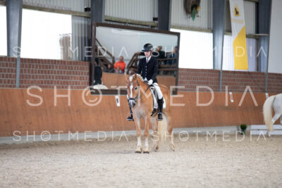 0037-250607-165708-DressurreiterWB