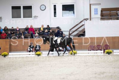 0039-154909-Dressurreiter-Herbst25