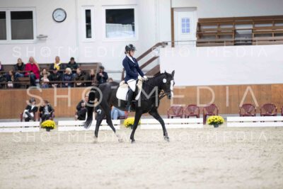 0040-154919-Dressurreiter-Herbst25