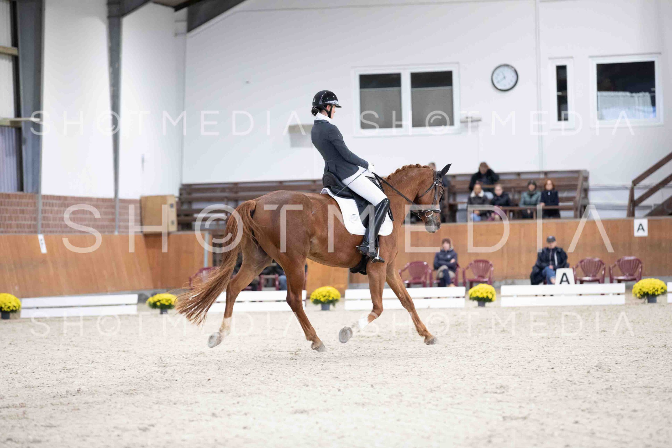 0041-114803-KlasseLTrense-Herbst25