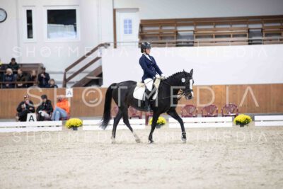 0042-154919-Dressurreiter-Herbst25