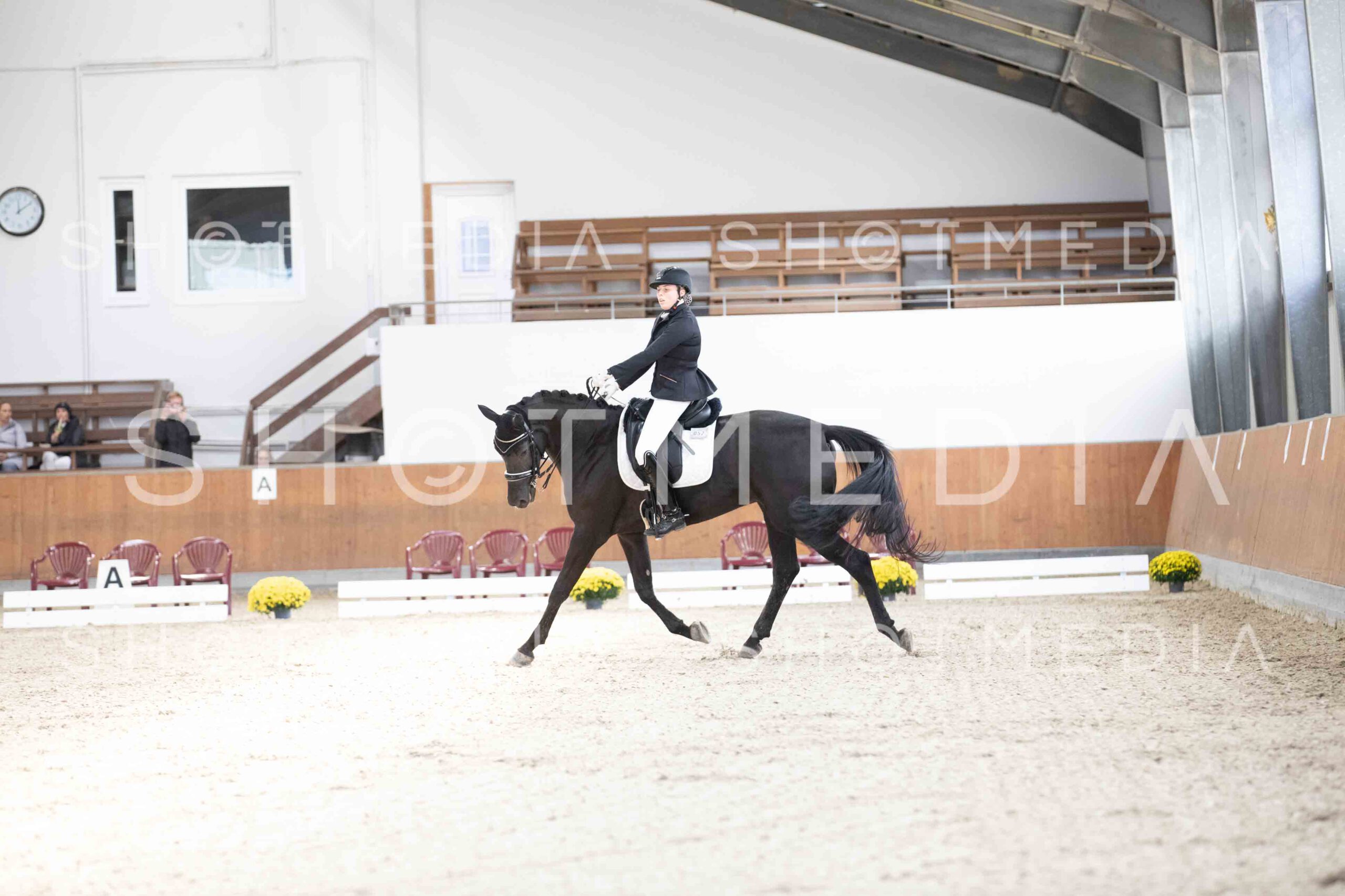 0045-121750-KlasseLKandare-Herbst25