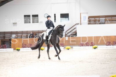 0050-121812-KlasseLKandare-Herbst25