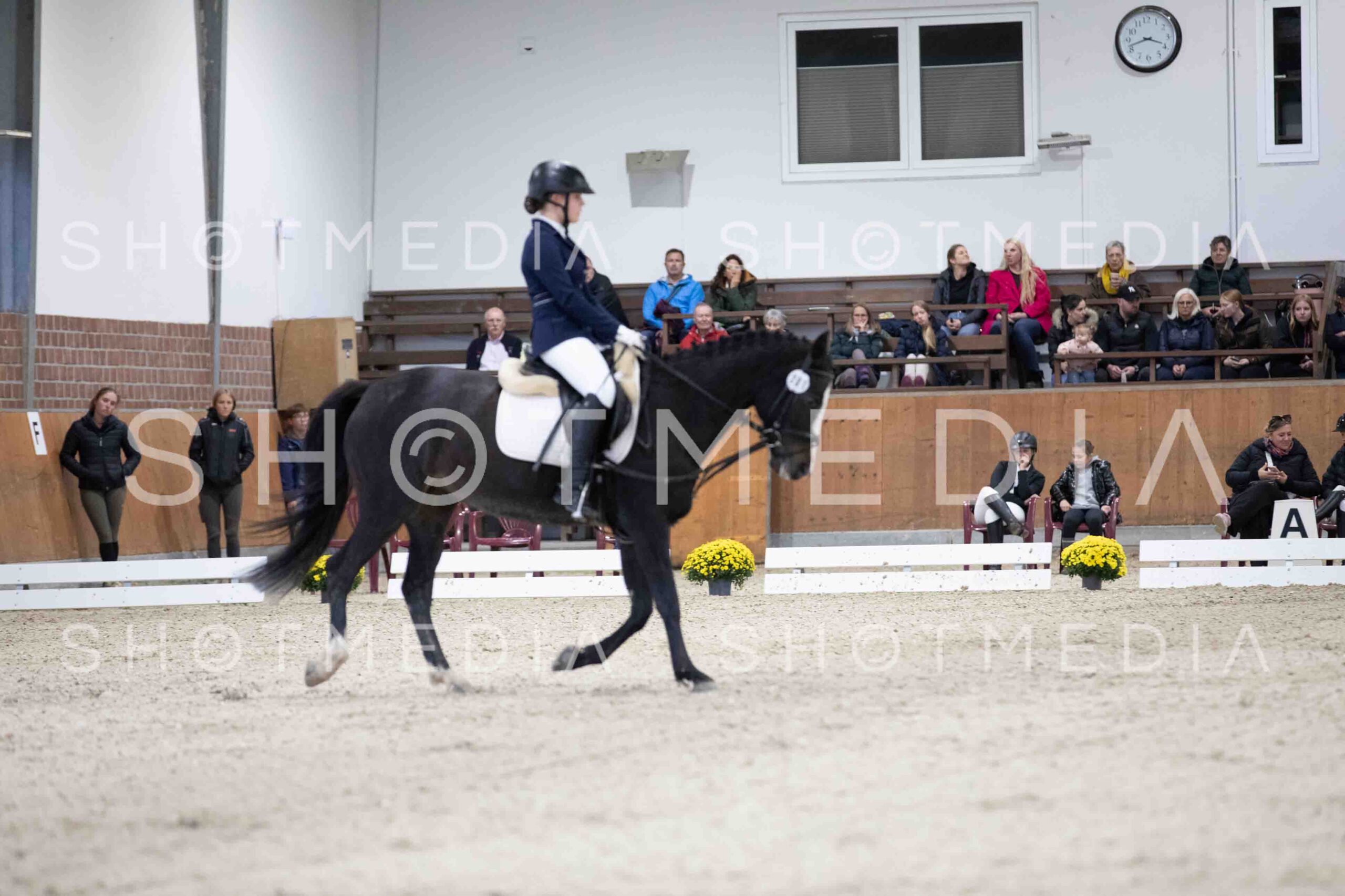 0050-155046-Dressurreiter-Herbst25