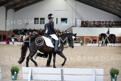 0050-250607-154916-Fuehrzuegel