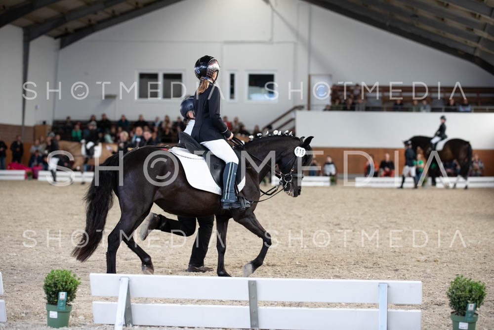 0050-250607-154916-Fuehrzuegel