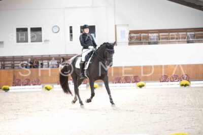 0051-121812-KlasseLKandare-Herbst25