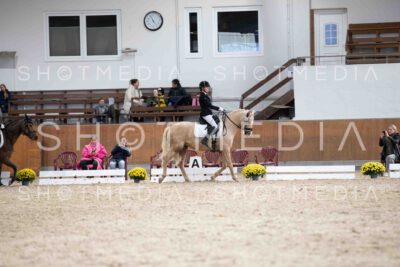 0051-170513-KlasseE-Herbst25