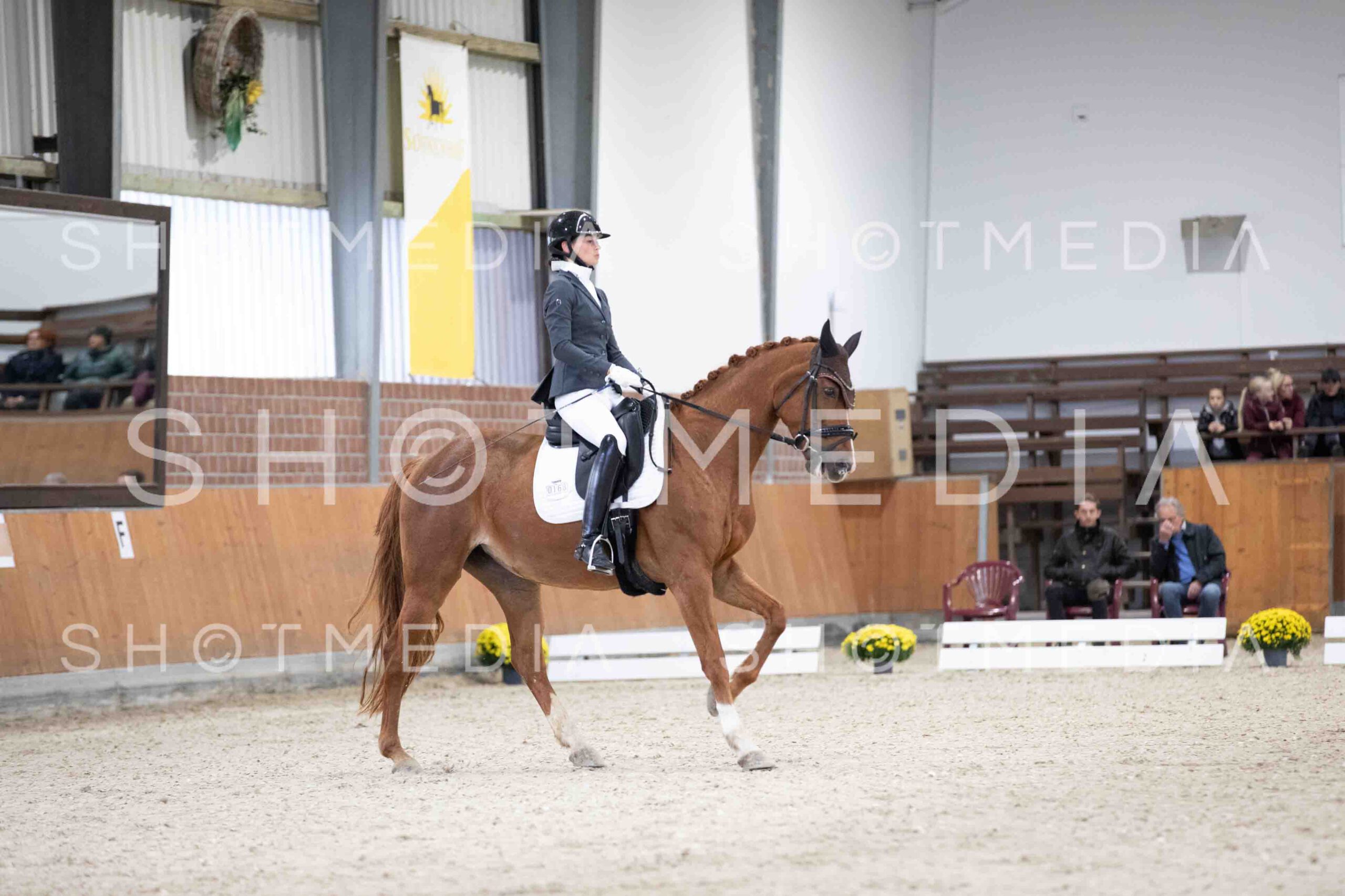 0052-115102-KlasseLTrense-Herbst25