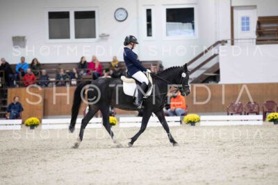 0052-155047-Dressurreiter-Herbst25