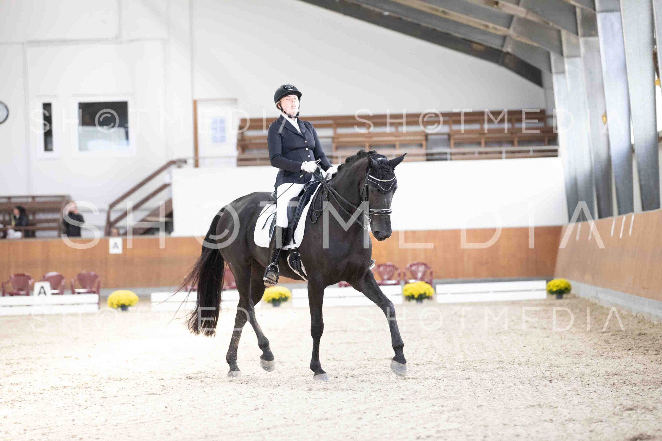 0053-121813-KlasseLKandare-Herbst25